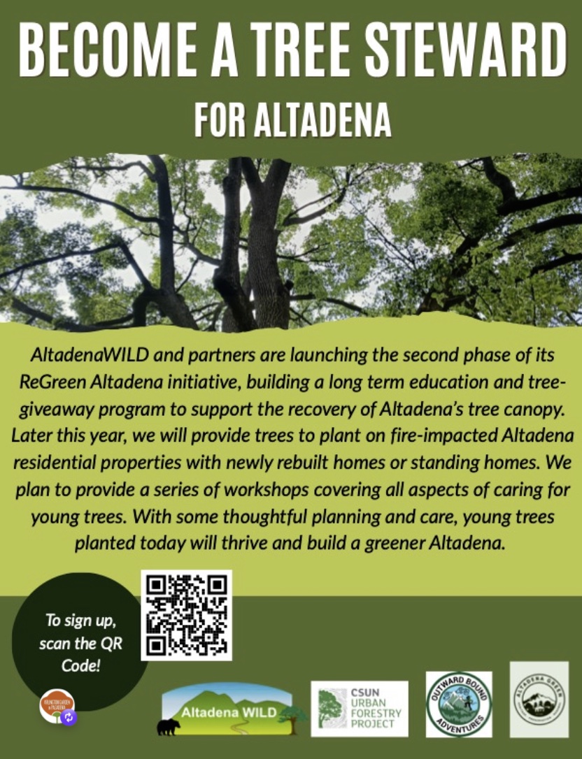 Regreen Altadena Flyer